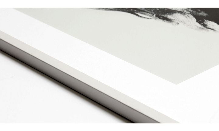 Common Dandelion -  Под заказ