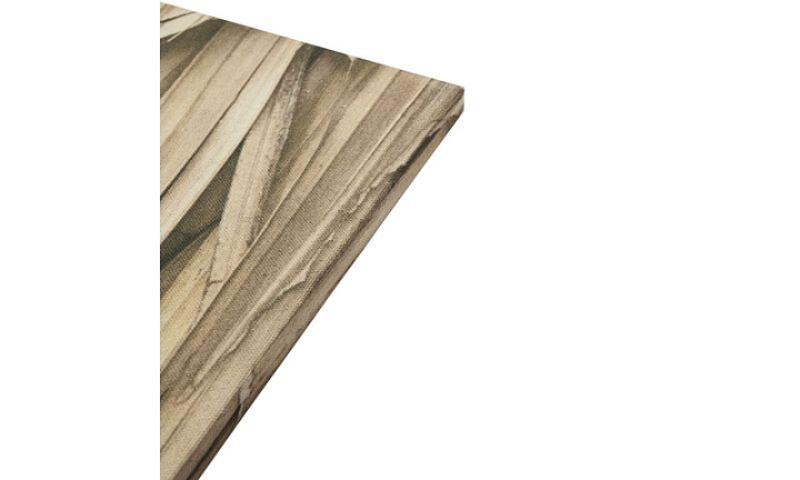 Layers of Leaves -  В наличии