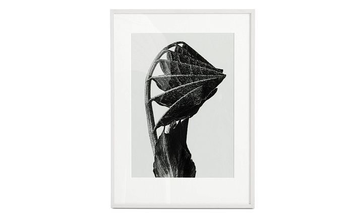 Nature Form -  Под заказ