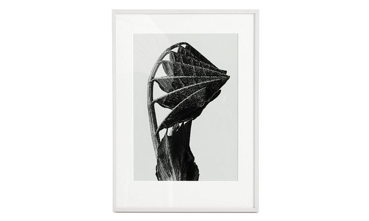 Картина Nature Form